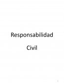 Responsabilidad Civil