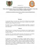 Estudio de las propiedades del microscopio