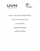 ANATOMIA Y FISIOLOGIA RENAL