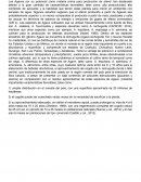 Agave lechuguilla