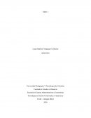 Importancia de los términos de intercambio en la economía colombiana