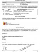 Material de Apoyo Pedagógico Guías de Aprendizaje