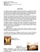 La metáfora en el arte por Elena Olivera