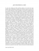 ¿Que conocemos de la carne?