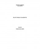 Relato trabajo colaborativo