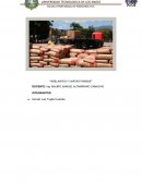 Adelanto y cartas fianzas