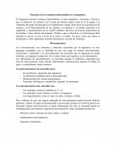 Vitaminas hidrosolubles en el organismo