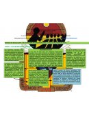 Las intenciones educativas