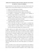 Semejanzas entre los postulados de averroes y santo tomas de Aquino