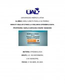 CRITICA DEL SISTEMA NACIONAL DE SALUD REFERENTE A LA APLICACIÓN DE LA NOM-O17-SSA2-2012 PARA LA EVIDENCIA EPIDEMIOLOGICA
