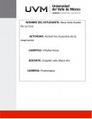 MUSCULOS DE LA RESPIRACION