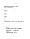 TIPOS DE EMPRENDEDORES