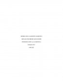 MODELO DE LA GESTION LOGISTICA