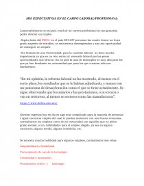 MIS EXPECTATIVAS EN EL CAMPO LABORAL/PROFESIONAL. Página 1