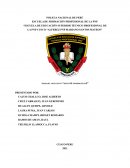 Determinar la influencia del delito contra datos y sistemas informáticos