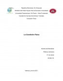 La condición física y la salud