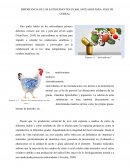 IMPORTANCIA DE LOS ANTIOXIDANTES EN BALANCEADOS PARA AVES DE CORRAL