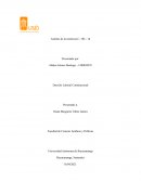 Análisis de la sentencia C – 586 – 16