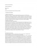 ESTUDIO DE SEGURIDAD FÍSICA DE INSTALACIONES