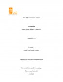 Zapatero a tus zapatos