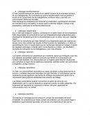 Liderazgo transformacional