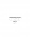 Administración estratégica y control de gestión