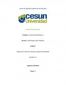 Sistema de Producción, Manual y Sistema Automatizado