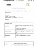 Guia Didacticas - ciencias Naturales 4