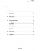 Profesional Desarrollo de proyecto