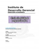Criminalidad organizada
