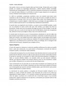 PUENTE- TUNEL ORESUND