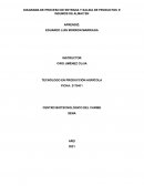 DIAGRAMA DE PROCESO DE ENTRADA Y SALIDA DE PRODUCTOS E INSUMOS DE ALMACEN