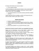 Planeación nuevo producto para el cabello