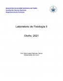 Manual de Laboratorio de Fisiología