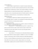 Grupos funcionales