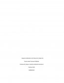 PRODUCCIÓN LIMPIA E IMPACTO AMBIENTAL