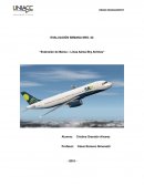 Extensión de Marca – Línea Aérea Sky Airlines