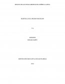 ENSAYO DE LAS VENAS ABIERTAS DE AMÉRICA LATINA