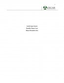 PROYECTO ECOLÓGICO “LA HUERTA MÁGICA”