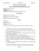 Taller intensivo Formatos. Mi mascota fifi