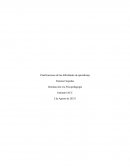 Introducción a la Psicopedagogía