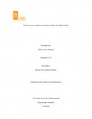 Taller de lectura: ¿Dónde está la franja amarilla? De William Ospina