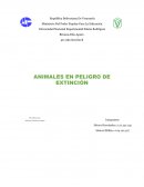 ANIMALES EN PELIGRO DE EXTINCIÓN