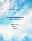 Informe de Auditoria Administrativa. Empresa Auditada: Patito S.A. de C.V