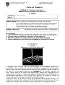 Libertad como tema literario