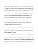 Informes de Auditoría