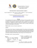 DECOLORACIÓN Y TINTURACIÓN DEL CABELLO