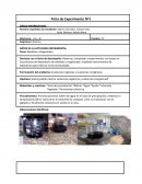Quimica. Medidas y Magnitudes