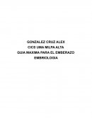 GUIA MAXIMA PARA EL EMBARAZO EMBRIOLOGIA