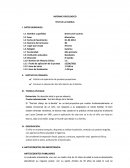 INFORME PSICOLOGICO TEST DE LA FAMILIA